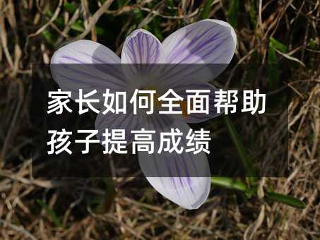 家長如何全面幫助孩子提高成績