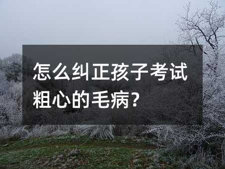怎么糾正孩子考試粗心的毛病?