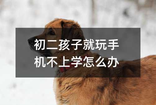 初二孩子就玩手機不上學怎么辦