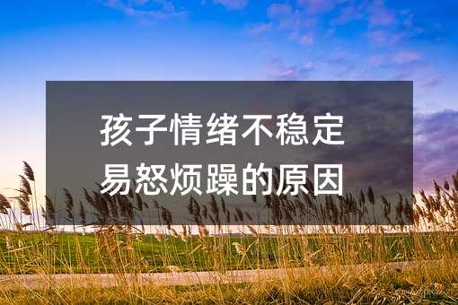 孩子情緒不穩定易怒煩躁的原因