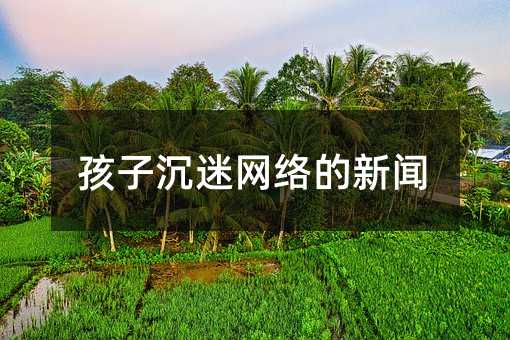 孩子沉迷網(wǎng)絡(luò)的新聞