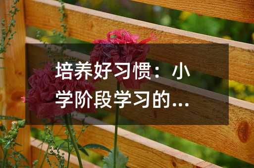 培養好習慣:小學階段學習的關鍵