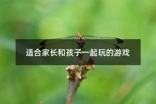 適合家長(zhǎng)和孩子一起玩的游戲