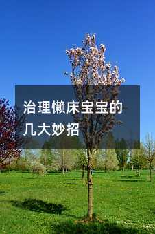 治理懶床寶寶的幾大妙招