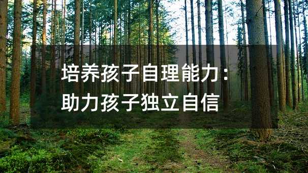 ���B���������������������Ӫ�������