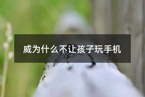 威為什么不讓孩子玩手機