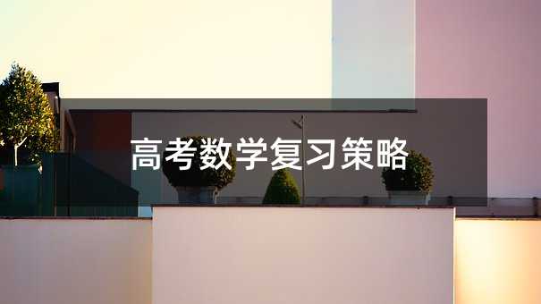高考數學復習策略