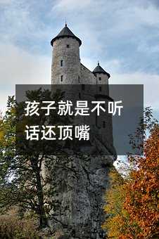 孩子就是不聽話還頂嘴