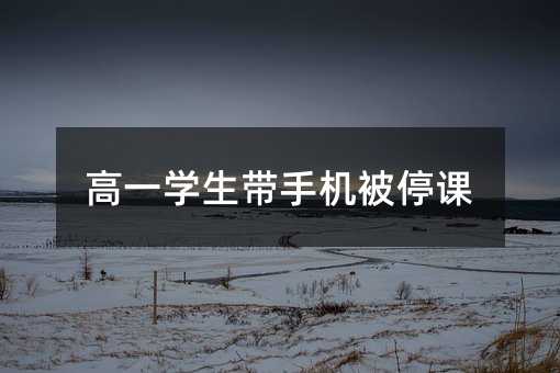 高一學生帶手機被停課