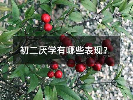 初二厭學有哪些表現?