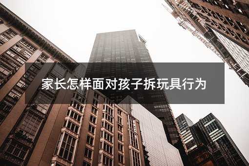 家長怎樣面對孩子拆玩具行為