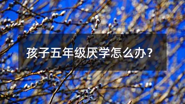 �������꼉���W��ô�k��