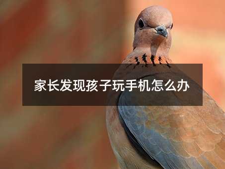 家長發現孩子玩手機怎么辦