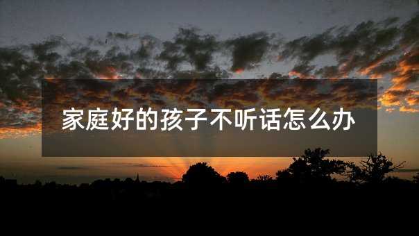 家庭好的孩子不聽(tīng)話怎么辦