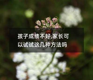 孩子成績不好,家長可以試試這幾種方法嗎