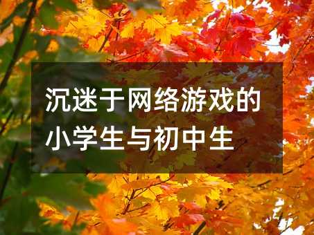 �����ھW(w��ng)�j(lu��)�Α��С�W(xu��)���c������