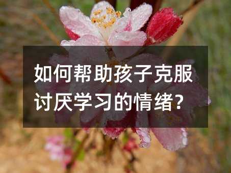 如何幫助孩子克服討厭學習的情緒?