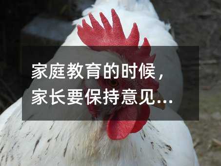 家庭教育的時候,家長要保持意見一致