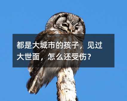 都是大城市的孩子,見過大世面,怎么還受傷?