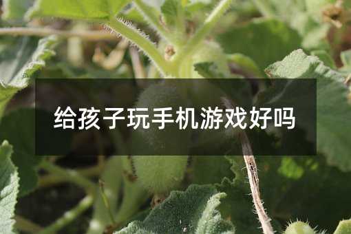 給孩子玩手機游戲好嗎