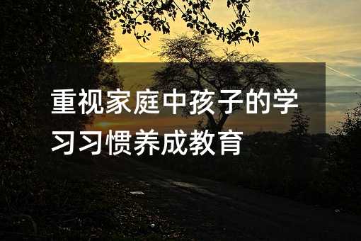 重視家庭中孩子的學(xué)習(xí)習(xí)慣養(yǎng)成教育