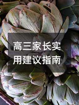 高三家長實用建議指南