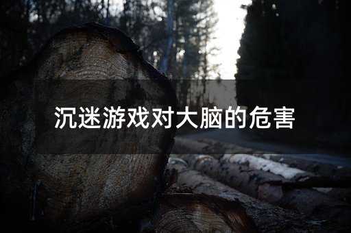 �����Α�?q��)����X��Σ��