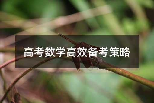 高考數學高效備考策略