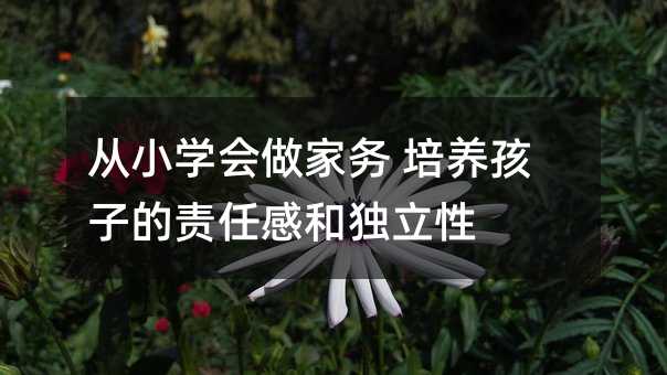 從小學(xué)會(huì)做家務(wù) 培養(yǎng)孩子的責(zé)任感和獨(dú)立性