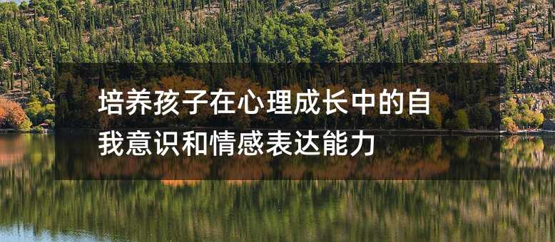 培養孩子在心理成長中的自我意識和情感表達能力