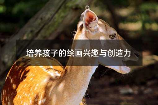 ���B(y��ng)���ӵ��L���dȤ�c��(chu��ng)����