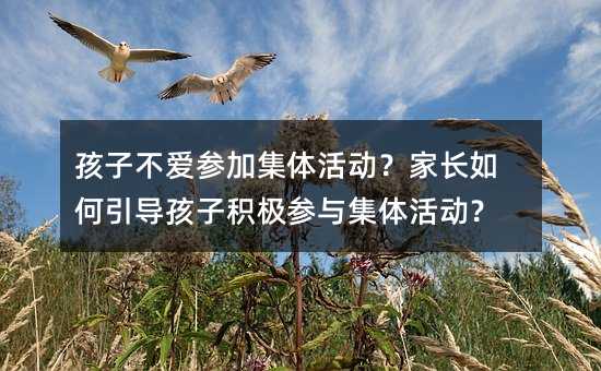 孩子不愛參加集體活動?家長如何引導(dǎo)孩子積極參與集體活動?