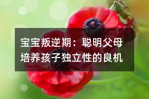 ڣĸB(yng)Ӫ(d)ԵC(j)