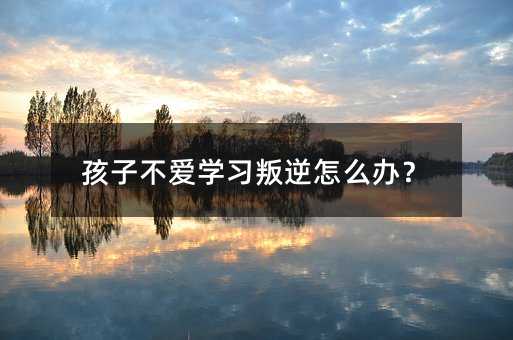孩子不愛學(xué)習(xí)叛逆怎么辦?
