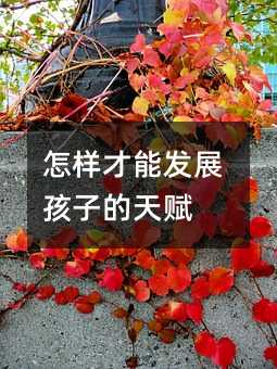 ���Ӳ��ܰlչ���ӵ����x