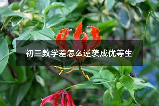 初三數學差怎么逆襲成優等生