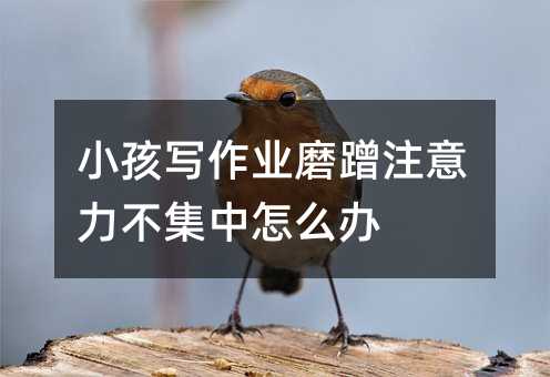 小孩寫作業磨蹭注意力不集中怎么辦