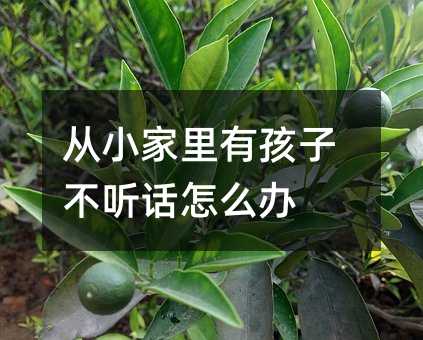 從小家里有孩子不聽話怎么辦