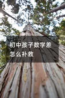 ���к��Ӕ�(sh��)�W(xu��)����ô�a(b��)��