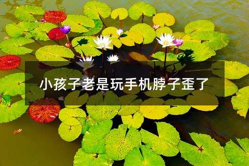 小孩子老是玩手機(jī)脖子歪了