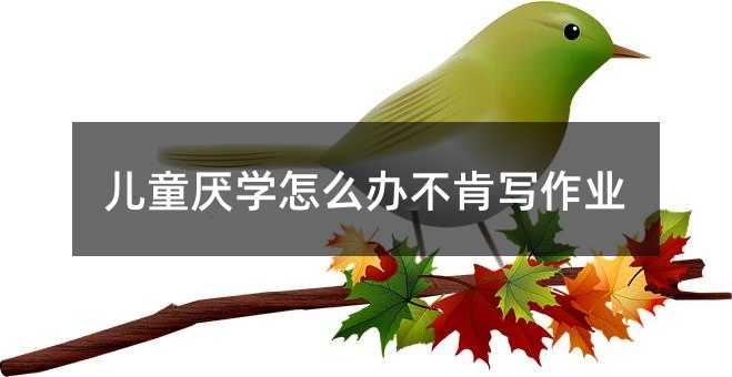 ��ͯ���W(xu��)��ô�k���ό����I(y��)