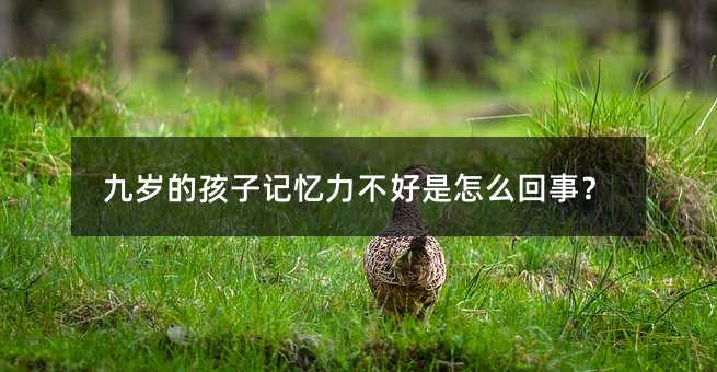 九歲的孩子記憶力不好是怎么回事?