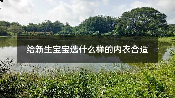 �o���������xʲô�ӵă�(n��i)�º��m