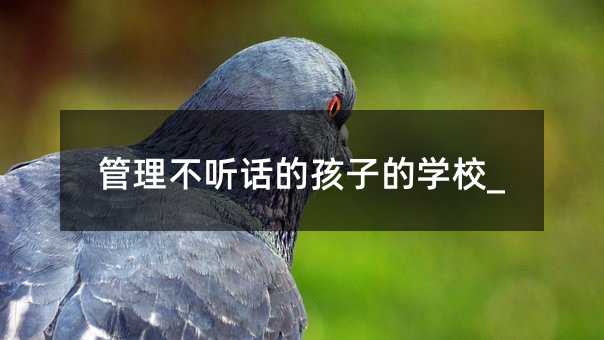 管理不聽話的孩子的學校_