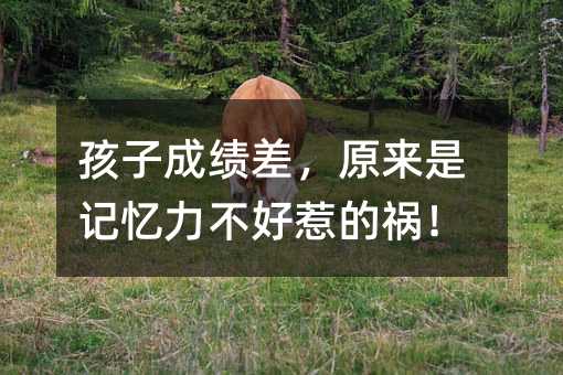 孩子成績差,原來是記憶力不好惹的禍!