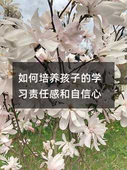 如何培養孩子的學習責任感和自信心