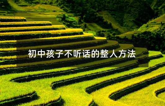初中孩子不聽話的整人方法