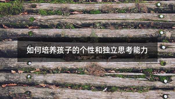 如何培養(yǎng)孩子的個性和獨立思考能力
