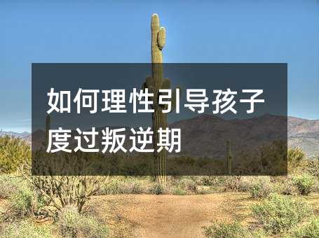 如何理性引導孩子度過叛逆期