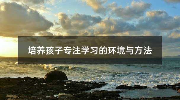 培養孩子專注學習的環境與方法